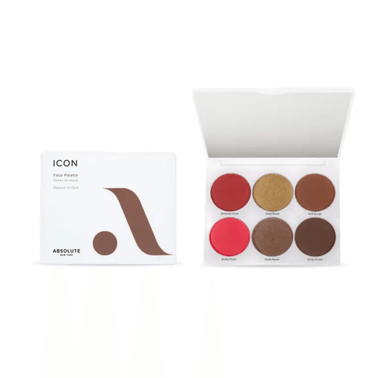 Absolute New York Icon Face Palette Medium to Dark