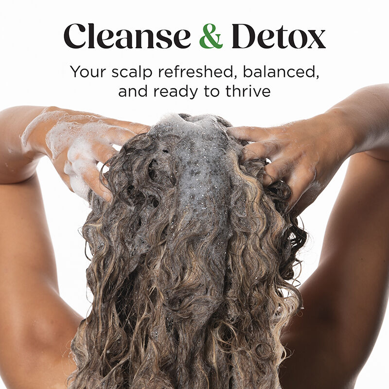 CHI Scalp-ology Purifying Shampoo 340ml